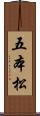 五本松 Scroll