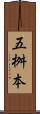 五桝本 Scroll