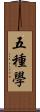 五種學 Scroll