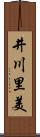 井川里美 Scroll