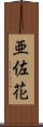亜佐花 Scroll