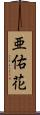 亜佑花 Scroll