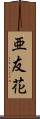 亜友花 Scroll