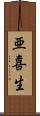 亜喜生 Scroll