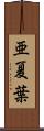 亜夏葉 Scroll