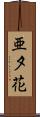 亜夕花 Scroll