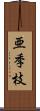 亜季枝 Scroll