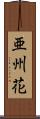 亜州花 Scroll