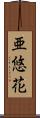 亜悠花 Scroll