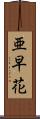 亜早花 Scroll