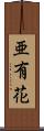 亜有花 Scroll