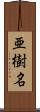 亜樹名 Scroll