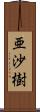 亜沙樹 Scroll