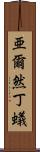 亜爾然丁蟻 Scroll