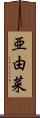 亜由菜 Scroll