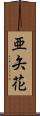 亜矢花 Scroll