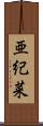 亜紀菜 Scroll