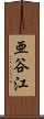 亜谷江 Scroll