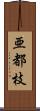 亜都枝 Scroll