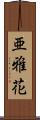 亜雅花 Scroll