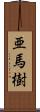亜馬樹 Scroll