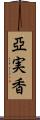 亞実香 Scroll