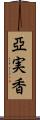 亞実香 Scroll