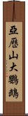 亞歷山大鸚鵡 Scroll