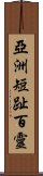 亞洲短趾百靈 Scroll