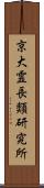 京大霊長類研究所 Scroll