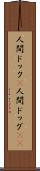 人間ドック(P) Scroll