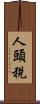 人頭稅 Scroll