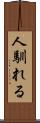 人馴れる Scroll