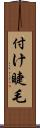 付け睫毛 Scroll