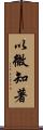 以微知著 Scroll
