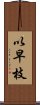 以早枝 Scroll