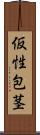 仮性包茎 Scroll