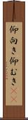仰向き Scroll