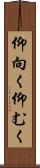 仰向く Scroll
