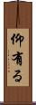 仰有る Scroll