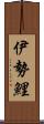 伊勢鯉 Scroll
