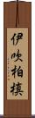 伊吹柏槙 Scroll