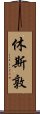 休斯敦 Scroll