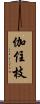 伽住枝 Scroll