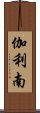 伽利南 Scroll