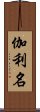 伽利名 Scroll