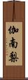伽南梨 Scroll