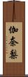 伽奈梨 Scroll