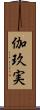 伽玖実 Scroll