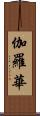 伽羅華 Scroll